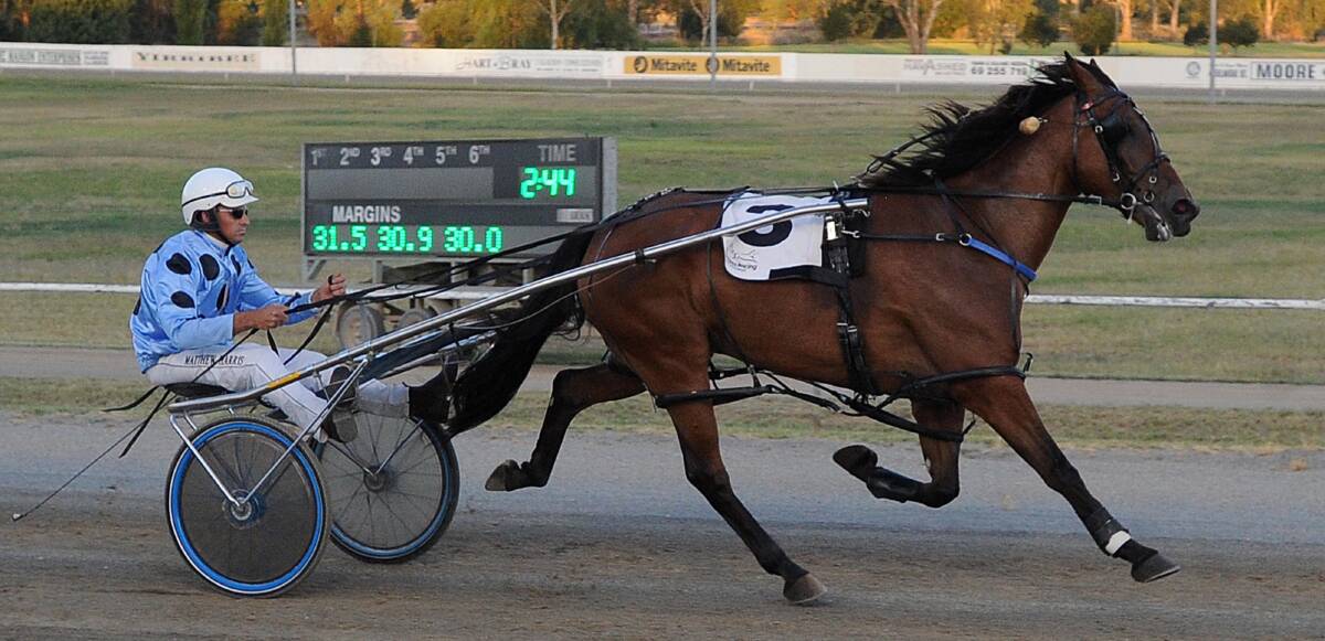 WINNING EFFORT: Junee trainer-driver Matthew Harris steers Gold Starzzz to victory on their hometrack on Saturday night. They will race again on the Carnival Of Cups meeting.