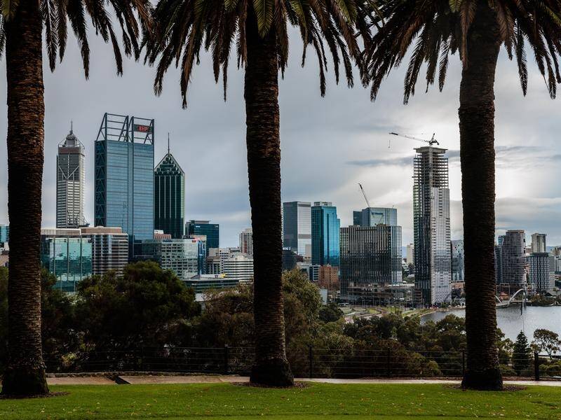 Trees in Kings Park are inspected yearly using a recognised risk assessment framework. (Richard Wainwright/AAP PHOTOS)